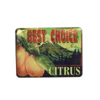 Magnet déco en métal Best Choice 6x8